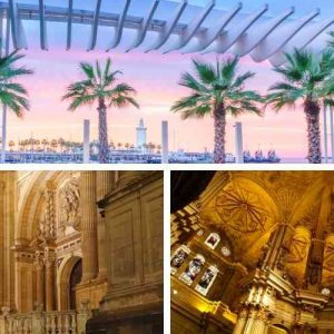 Excursión a Málaga y la Costa del Sol desde Roquetas de Mar con autobús y guía