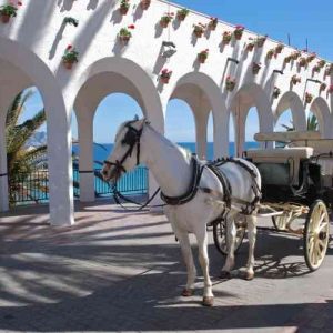 Excursion to the Costa del Sol, Nerja and Frigiliana from Roquetas de Mar with bus and guide