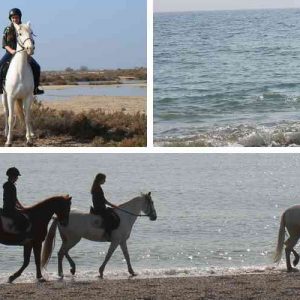 Rutas a caballo por la playa de Roquetas de Mar