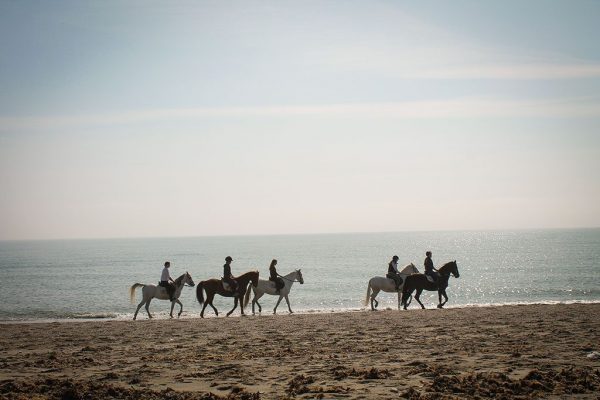 Équitation à Roquetas de Mar