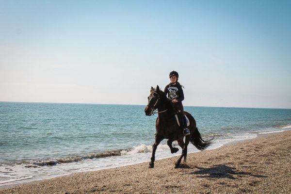 Sehen Sie den Strand von Roquetas de Mar zu Pferd