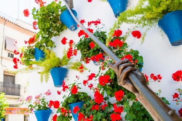 Visitez les patios fleuris de Cordoue. Voyage en Andalousie.