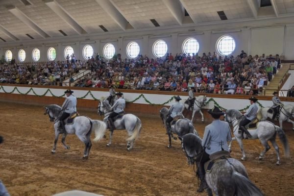 Reis naar Europa. Paardenroute in Jerez de la Frontera