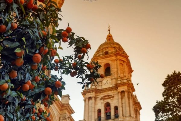 Tours a Europa. Visitar Málaga en la Costa del Sol