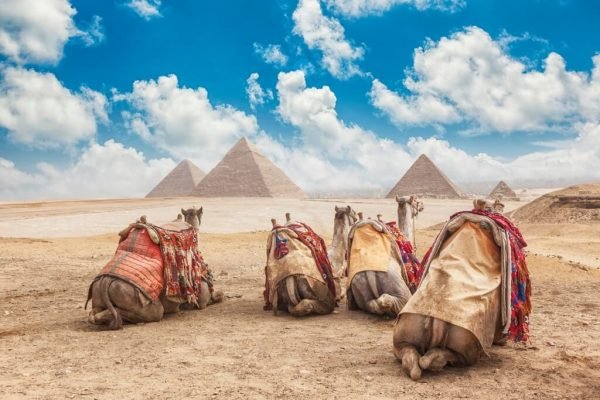 Paquetes a Africa y Medio Oriente - Visitar las Piramides de Egipto con guía en español