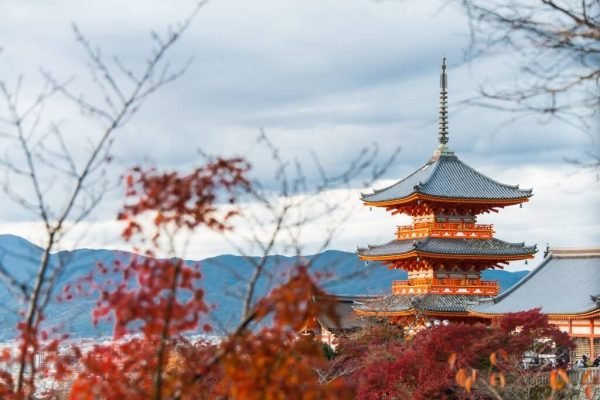 Paquetes a Asia - Visitar los lugares más bonitos de Kioto Japón