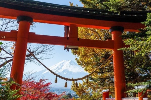 Circuitos por Oriente - Excursión al Monte Fuji en Japón