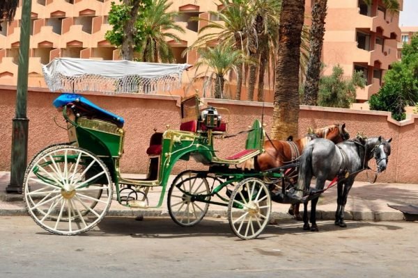 Visit Morocco and North Africa from Spain with hand-picked hotels. Tours to Marrakech