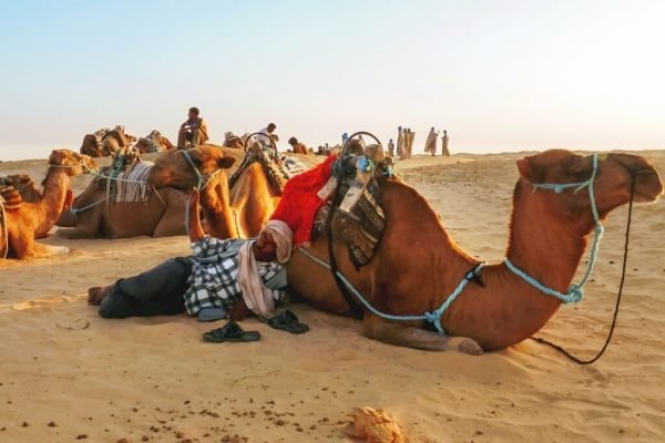 Visitar Marruecos y Desierto de Sahara con guía