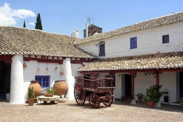 Reis langs de Don Quichot-route naar de regio La Mancha