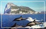 viajes y tours privados a gibraltar | visitar gibraltar con guía privado | paquetes privados a gibraltar